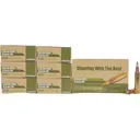 IMI M855 5.56x45mm NATO Ammo 62 Grain SS109 Penetrator Full Metal Jacket Box of 210 (7 Boxes of 30) - Imi Ammunition