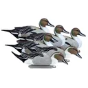 Higdon Battleship Foam Filled Pintail Drakes Only Duck Decoy Polymer 6PK - Higdon