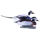 GHG Commercial Grade Foam Filled Long-Tailed Duck Decoy 6PK - Ghg