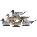 Dakota Decoy X-Treme Pintail Duck Decoy 6PK - Dakota Decoys
