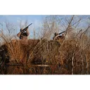 Avery RealGrass Blind Material Brown Timber Grass - Avery