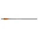 Mission Clean Shot Crossbow Bolt 22" Lighted 3PK - Mission