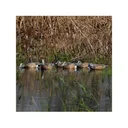 GHG Pro-Grade Wigeon Duck Decoy 6PK - Greenhead Gear