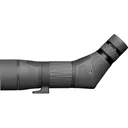 Leupold SX-4 Pro Guide Spotting Scope 15-45x 65mm Angled - Leupold