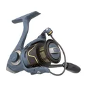 Pflueger President 30 Spinning Reel - Pflueger