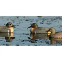 GHG Life-Size Green Wing Teal Duck Decoy 6PK - Greenhead Gear