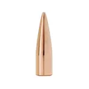 Factory Second Match 300 AAC Blackout (308 Diameter) Bullets 125 Grain Jacketed Hollow Point Box of 100 (Bulk Packaged) - Factory Second Bullets