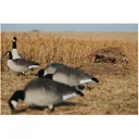 Avery KillerWeed Blind Grass Grain - Avery