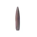 Tubb Final Finish 264 Caliber Bore Lapping Bullets - Tubb