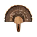 Walnut Hollow Country Walnut Turkey Mounting Kit - Walnut Hollow