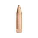 Factory Second Match 22 Caliber (224 Diameter) Bullets 77 Grain Jacketed Hollow Point Box of 100 (Bulk Packaged) - Factory Second Bullets