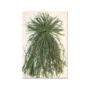 Beavertail Ghillie Grass Bundles Blind Material Nylon Green - Beavertail