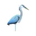 Flambeau Great Blue Heron Decoy - Flambeau