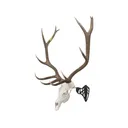 Allen EZ Mount Magnum Skull Hanger European Mount Display - Allen Company