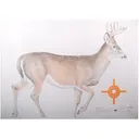 NRA Official Lifesize Game Target White Tail Deer Paper 12PK - Nra