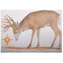 NRA Official Lifesize Game Target Mule Deer Paper 12PK - Nra