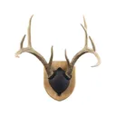 Walnut Hollow Country Oak Antler Mounting Kit - Walnut Hollow Country