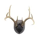 Walnut Hollow Country Rustic Pine Antler Mounting Kit - Walnut Hollow Country