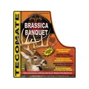 Tecomate Brassica Banquet Annual Food Plot Seed 3 lb - Tecomate