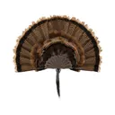 Allen EZ Mount Turkey Mounting Kit Brown - Allen Company