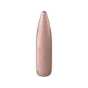 Speer 22 Caliber (224 Diameter) Bullets 75 Grain Total Metal Jacket Box of 100 - Federal Ammo