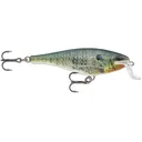 Rapala Super Shad Rap 14 Crankbait Live Bluegill - Rapala