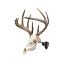 Allen EZ Mount Trophy Skull Hanger European Mount Display Black - Allen Company