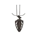 Allen EZ Mount Trophy Skull Hanger European Mount Display Brown - Allen Company