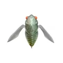 Megabass Grand Siglett Topwater Lamune Bug - Megabass