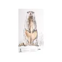NRA Official Lifesize Game Target Groundhog Paper 50PK - Nra