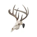 Allen EZ Mount Skull Hanger European Mount Display Brown - Allen Company