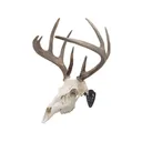 Allen EZ Mount Skull Hanger European Mount Display Black - Allen Company