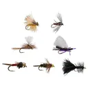 RIO Basic Trout Fly Assortment - Rio