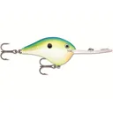 Rapala DT 20 Metal Crankbait Citrus Shad - Rapala