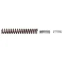 Wolff Performance Pack Ruger 10/22 Spring Kit Extra Power - Wolff Gunsprings