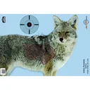BIRCHWOOD CASEY Pregame 16.5x24in Coyote Targets, 3-Pack (35405) - Birchwood Casey