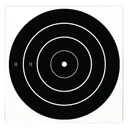 BIRCHWOOD CASEY Dirty Bird 12in Bull's-Eye 12 Targets (35012) - Birchwood Casey