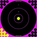 BIRCHWOOD CASEY Shoot-N-C 12in Pink Bull's-Eye 5 Targets, 120 Pasters (34027) - Birchwood Casey
