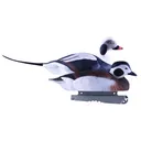 AVERY Pro-Grade Foam Filled Long-Tailed Duck Decoys, 6-Pack (74027) - Avery