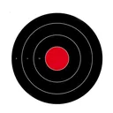 BIRCHWOOD CASEY Dirty Bird 17.25in Bulls-Eye Targets, 100-Pack (35181) - Birchwood Casey