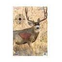 BIRCHWOOD CASEY Pregame 16.5x24in Mule Deer Targets, 3-Pack (35402) - Birchwood Casey