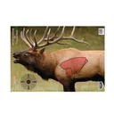 BIRCHWOOD CASEY Pregame 16.5x24in Elk Targets, 3-Pack (35404) - Birchwood Casey