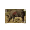 BIRCHWOOD CASEY Pregame 16.5x24in Boar Targets, 3-Pack (35408) - Birchwood Casey