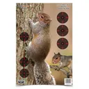 BIRCHWOOD CASEY Pregame 12x18in Squirrel Targets, 8-Pack (35406) - Birchwood Casey