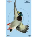 BIRCHWOOD CASEY Pregame 12x18in Duck Targets, 8-Pack (35407) - Birchwood Casey