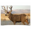 BIRCHWOOD CASEY Eze-Scorer 23x35in Mule Deer Target, 2-Pack (37482) - Birchwood Casey