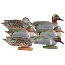 AVERY Pro-Grade Green-Winged Teal Duck Decoys, 6-Pack (73123) - Avery