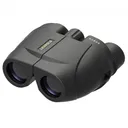 LEUPOLD BX-1 Rogue 10x25mm Compact Black Binocular (59225) - Leupold