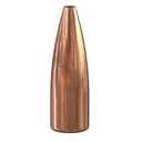 SPEER TNT .22 Cal 55Gr JHP 100rd Box Bullets (1032) - Speer