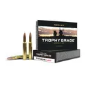 NOSLER Trophy Grade .30-06 Springfield 180Gr AccuBond 20rd Box Ammo (46134) - Nosler